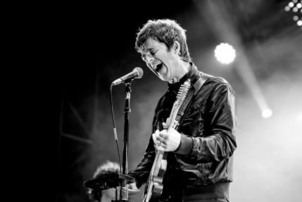 the wombats